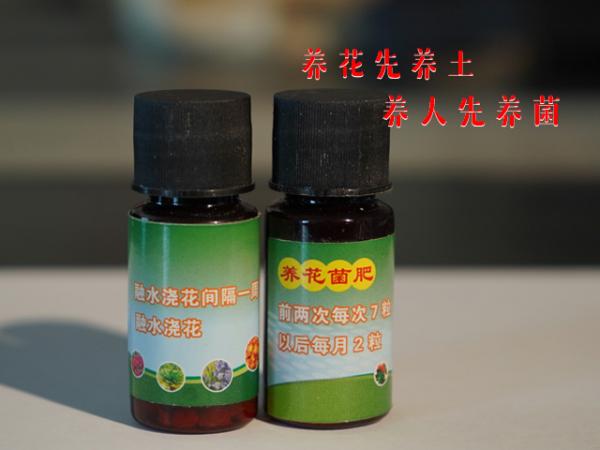  益生菌花肥